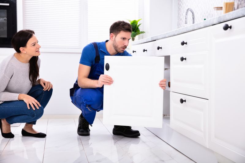 Local Cabinet Doors Repair pros at work